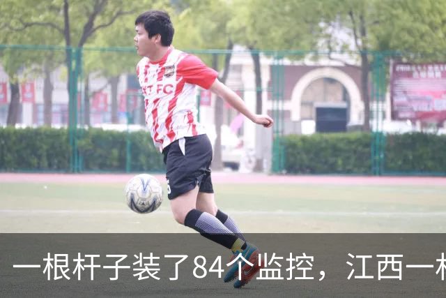 一根杆子装了84个监控，江西一村庄惊现“最辛苦监控树”，村干部：是网红打卡点，仅1个可用监控，其他都是装饰的坏设备，将设标识牌