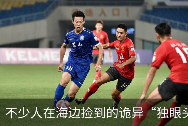 不少人在海边捡到的诡异“独眼头骨”，竟属于“国宝”的亲戚？