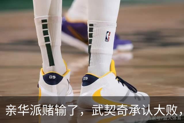 亲华派赌输了，武契奇承认大败，14年规则被打破，对华关系怎么办