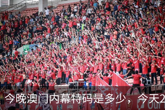 今晚澳门内幕特码是多少，今天297期特码资料是多少每日分享