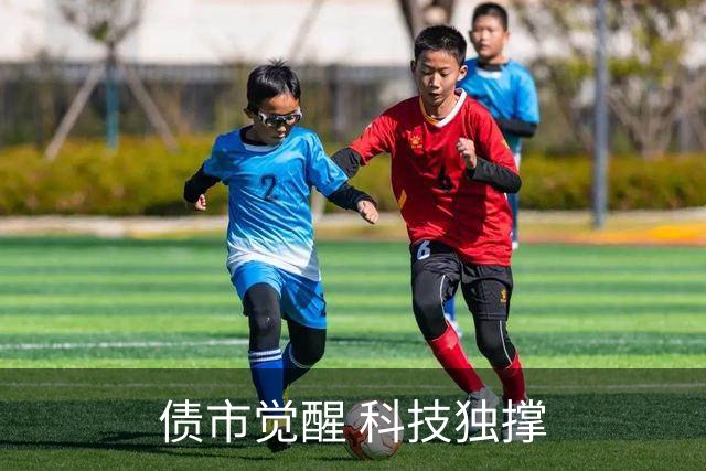 债市觉醒 科技独撑