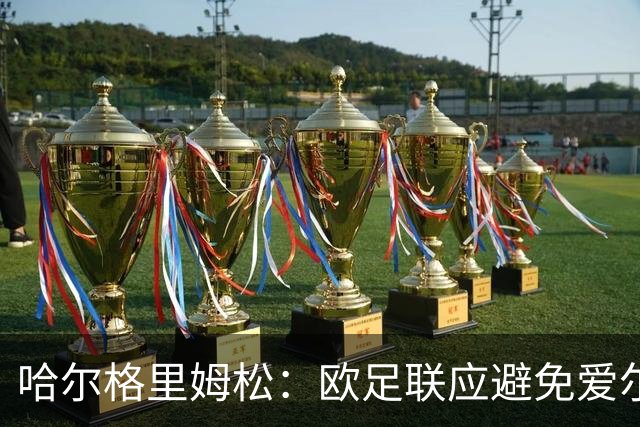 哈尔格里姆松：欧足联应避免爱尔兰再对阵以色列