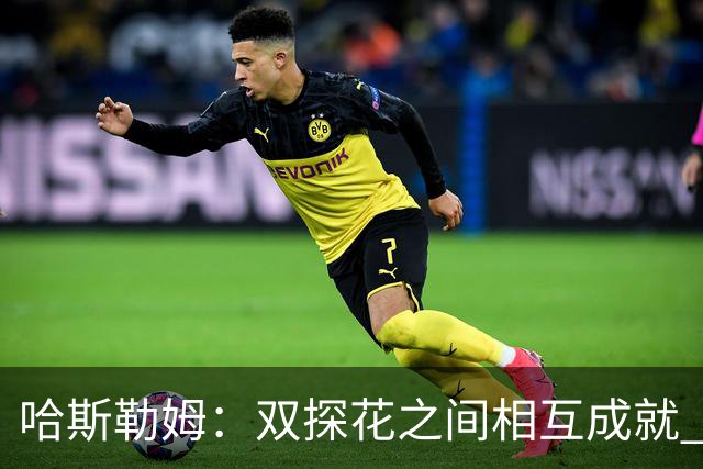 哈斯勒姆：双探花之间相互成就 没有彼此谁也达不到现在的高度