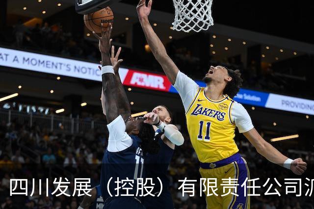 四川发展（控股）有限责任公司派驻出资企业专职董事朱全芳接受审查调查