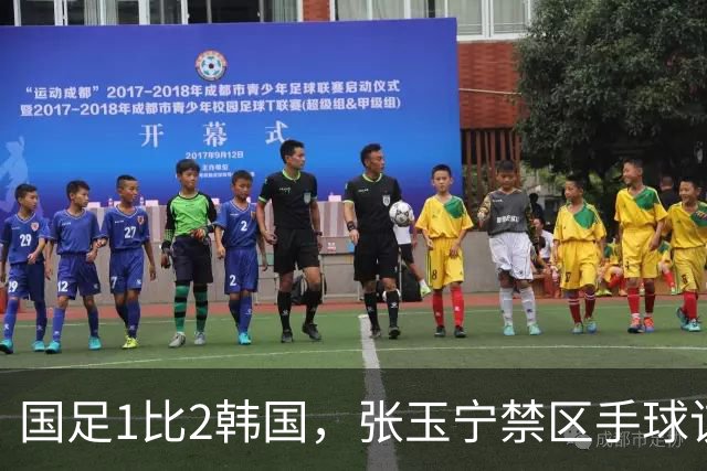 国足1比2韩国，张玉宁禁区手球该判点吗？