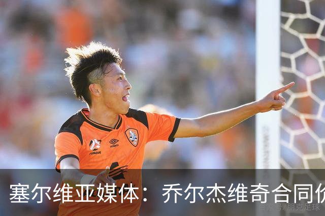 塞尔维亚媒体：乔尔杰维奇合同价值100万美元