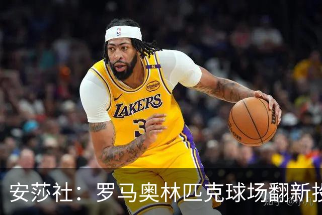 安莎社：罗马奥林匹克球场翻新投资1.5亿欧元