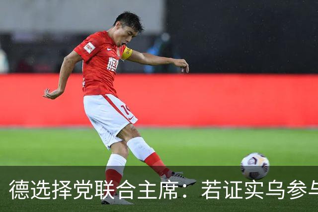 德选择党联合主席：若证实乌参与了北溪管道被炸事件，将面临后果