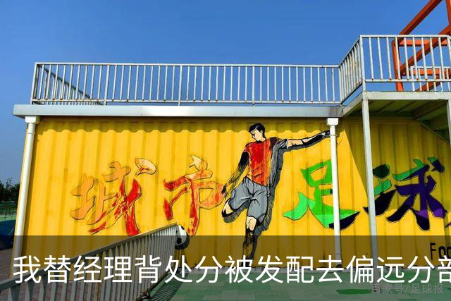 我替经理背处分被发配去偏远分部，几年后带着几千亿大单杀回总部，当年整我的几个领导全慌了