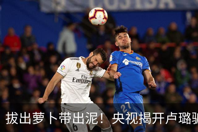 拔出萝卜带出泥！央视揭开卢璐骗局内幕，竟意外牵扯大半个娱乐圈