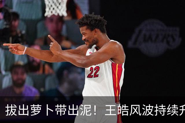 拔出萝卜带出泥！王皓风波持续升级！忍无可忍果断报警！愣是把藏在国乒圈多年的烂账全给翻了出来，半个饭圈被拉下水，这股歪风该刹车了‍