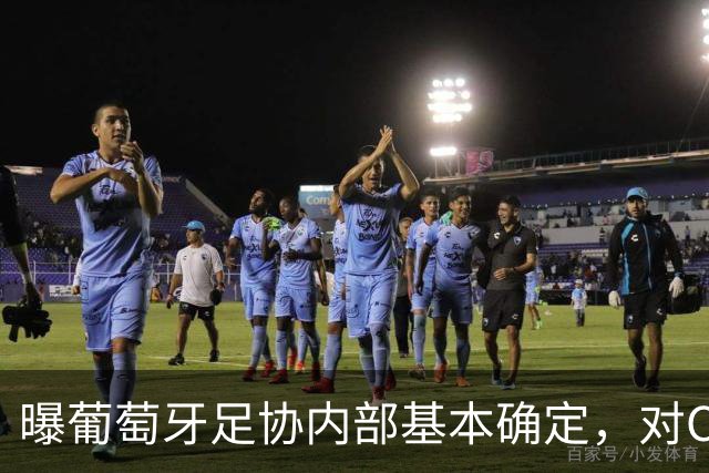 曝葡萄牙足协内部基本确定，对C罗处以停赛3场的处罚