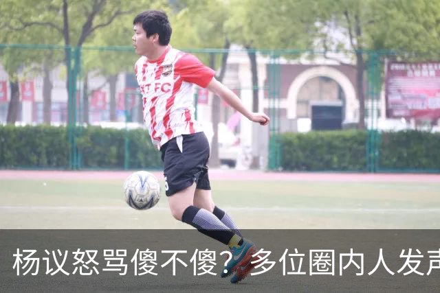 杨议怒骂傻不傻？多位圈内人发声，知情人爆料，对比结果惨不忍睹
