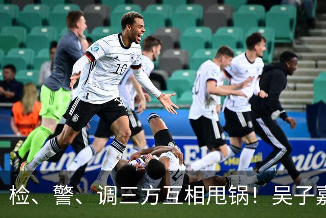 检、警、调三方互相甩锅！吴子嘉上演反击教科书，郑丽文可以效仿