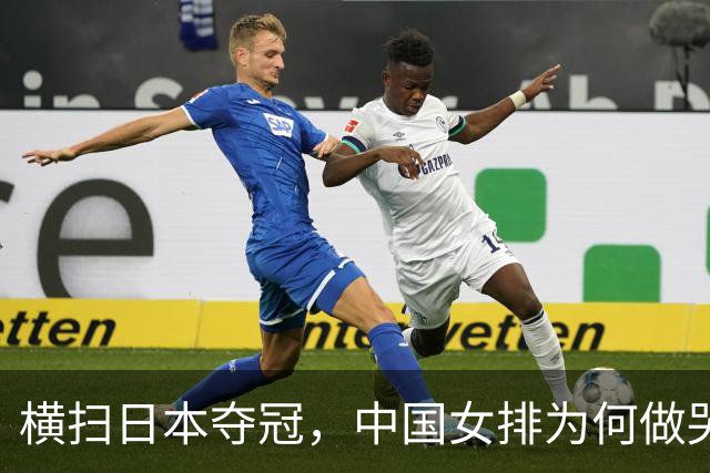 横扫日本夺冠，中国女排为何做哭状庆祝？解气，日本男篮曾嘲讽中国男篮