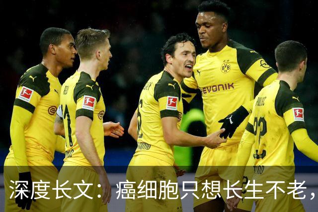 深度长文：癌细胞只想长生不老，人类跟这个叛徒到底打了一场什么仗？