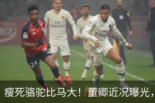 瘦死骆驼比马大！董卿近况曝光，出门坐高级保姆车，豪门梦没破碎