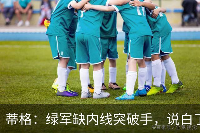蒂格：绿军缺内线突破手，说白了就是缺杰伦·布朗