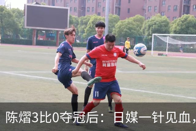 陈熠3比0夺冠后：日媒一针见血，指出张本美和惨败原因