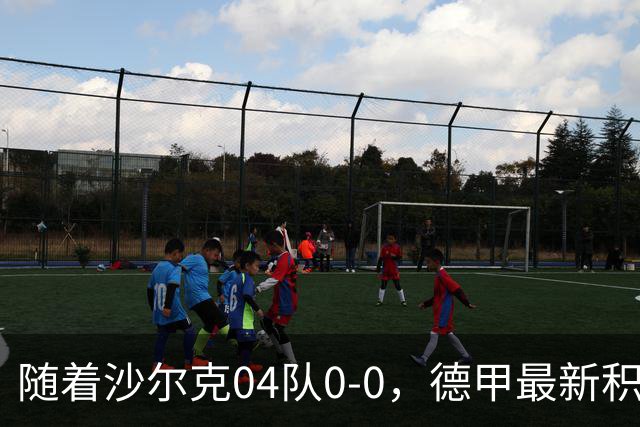 随着沙尔克04队0-0，德甲最新积分榜出炉