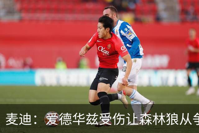麦迪：爱德华兹受伤让森林狼从争第1变成保战绩 其他人必须站出来