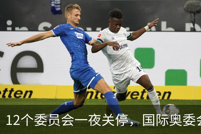 12个委员会一夜关停，国际奥委会只留19个